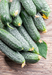 Cucumbers on a wooden background close-up