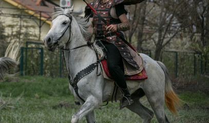 Obraz premium his horse who are interested in Turkish