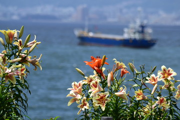 Fototapete bei efototapeten.de bestellen   