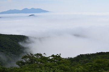 霧と雲海　霧降高原　六方沢橋近くからの展望　栃木県日光市