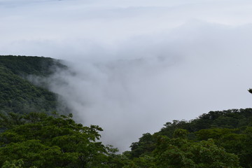 霧と雲海　霧降高原　六方沢橋近くからの展望　栃木県日光市