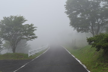 霧の中の道　霧降高原　大笹牧場　栃木県日光市