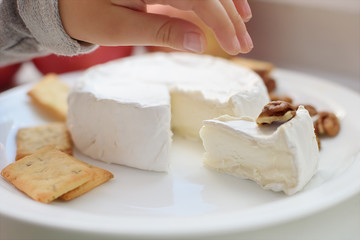Cheese with white mold. Camembert or brie type.