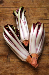 Radicchio Rosso di Treviso Cucina italiana Italian cuisine Cichorium 義大利飲食 intybus...