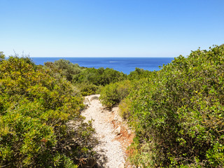 Hiking path on the way down to Praia da Ribeira do Cavalo, beautiful remote beach in Sesimbra, Portugal
