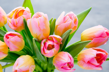 Spring flowers. Tulip bouquet on the bokeh background.