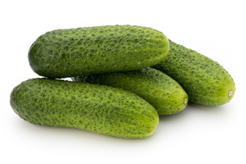 The first spring ecologically cucumbers.