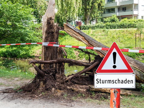 Achtung Sturmschaden Baum