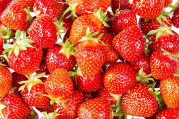 Background from freshly harvested strawberries