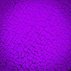Abstract crack orchid paint wall