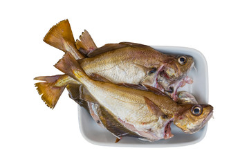 Poisson vidé Tacaud frais dans un plat en ceramique sur le blanc – Frischer ausgenommener...
