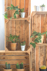 Shelf made of wooden crates