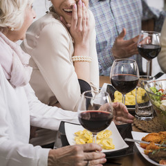Grandmother and granddaughter talking during dinner