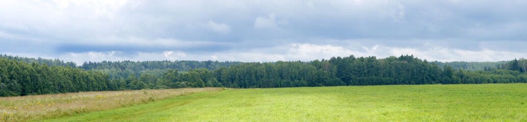 Fototapeta premium Panoramic view of a green field, a forest and a cloudy sky, for nature backgrounds