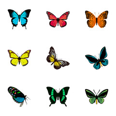 Fototapeta na wymiar Realistic Papilio Ulysses, Hairstreak, Archippus And Other Vector Elements. Set Of Moth Realistic Symbols Also Includes Monarch, Beauty, Orange Objects.
