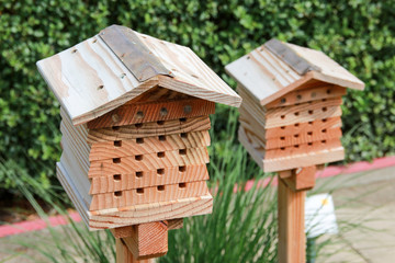 Small insect house