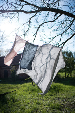Clothes drying on clothesline in garden