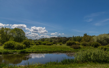 Pond In Tallinn Botanic Gaden 