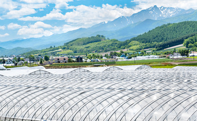 ビニールハウス / 北海道の農場