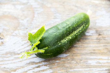 Green cucumber with a leaf on a wooden table
