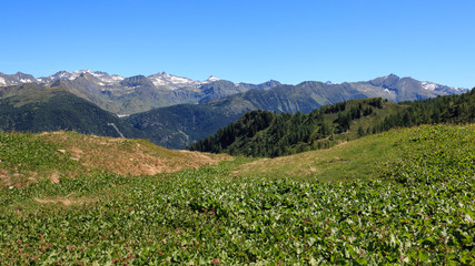 panorama sulle Alpi Svizzere, salendo al lago di Prato