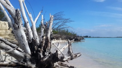 Paradise beach in Cuba. View of a perfect desert coast with withe sand and blue turquoise sea