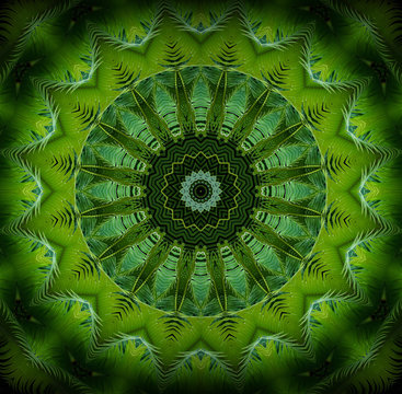 Abstract greenery pattern, palm leaves with kaleidoscope effect.