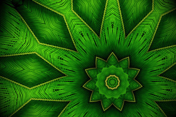 Abstract greenery background, palm leaves with kaleidoscope effect.