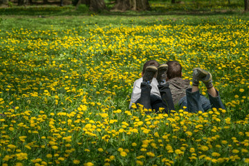 Two boys lying on the dandelion field
