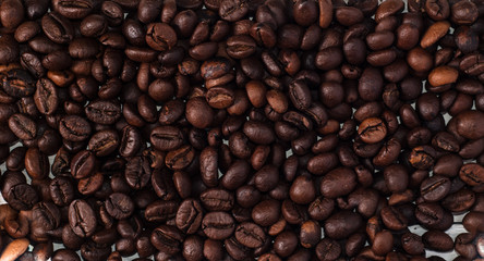 coffee bean in full screen,