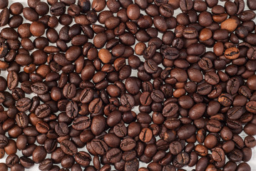 coffee bean in full screen,