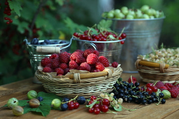 Ripe red raspberries, gooseberries, black, red and white currants, blueberries in wicker baskets and metal buckets. Summer harvest of berries.
