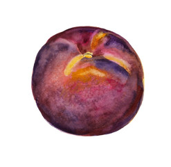 Watercolor purple peach