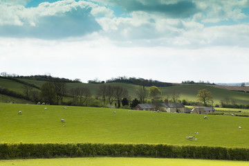 Cottages In The Hills