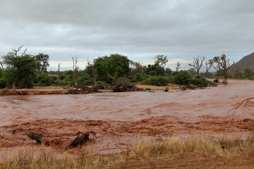 Hochwasser im Samburu River im Norden von Kenia 
