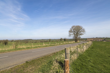 Fototapeta premium Country Road