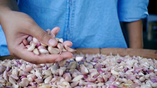 Close-up of female hand holding garlic and pouring garlic by hand.