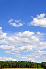 Fototapeta na wymiar Sky with clouds and tree line at the bottom
