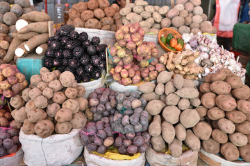 Pommes de terre des Andes au marché indien à Arequipa au Pérou