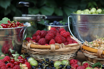 Ripe red raspberries, gooseberries, black, red and white currants, blueberries in wicker baskets and metal buckets. Summer harvest of berries.
