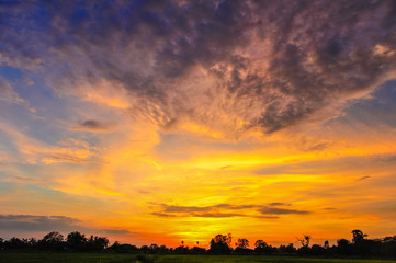 Sky and field