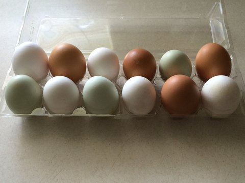 One Dozen Eggs Assorted Colors