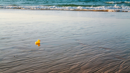 toy duckling on beach during evening ebb