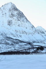 Fototapeta na wymiar View over Langvatnet-lake from N.shore. TverrelfTindan mountain on S.shore. 0020