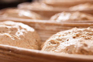 Bio Brot Teig