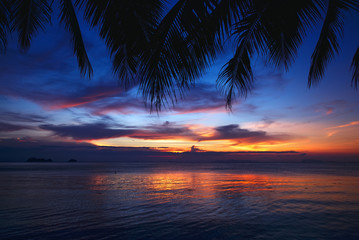 Naklejka na ściany i meble Tropical sunset beach with palm tree
