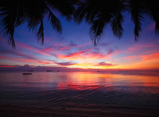 Tropical sunset beach with palm tree. Thailand, Samui island