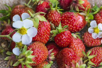 organic strawberries