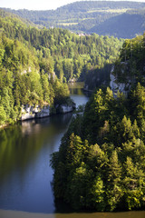 Fototapeta premium Forest landscape in Switzerland near Les Brenets village with the river Doubs