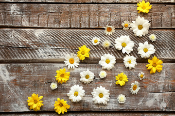 Composition with beautiful chamomile flowers on wooden background